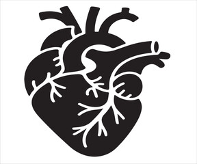 Silhouette of human heart organ isolated on white background symbolizing anatomy, cardiology, health, medical science, biology, circulation system, and life concept illustration design