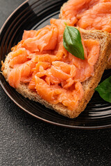 sandwich salmon smoked fish open sandwich delicious fresh portion size natural product tasty snack fresh delicious gourmet food background on the table rustic top view copy space pescetarian diet