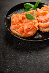 sandwich salmon smoked fish open sandwich delicious fresh portion size natural product tasty snack fresh delicious gourmet food background on the table rustic top view copy space pescetarian diet