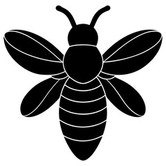 Bee vector illustration