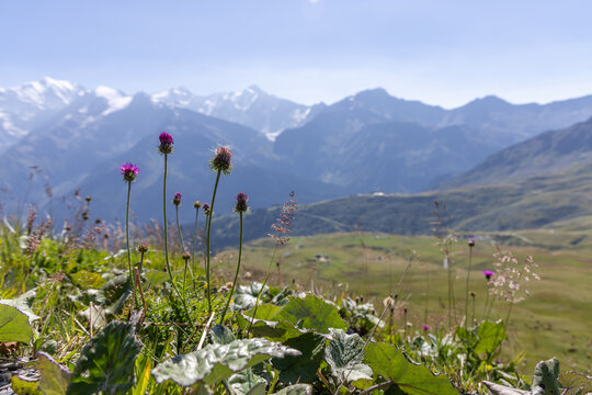Summer Alpine Landscape in Hauteluce, French Alps