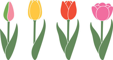 Tulip logo. Isolated tulip on white background. Flower