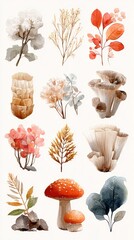 Beautiful botanical illustrations featuring diverse plants, mushrooms, and foliage in warm autumn colors