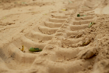 car tire tracks in the sand. close-up