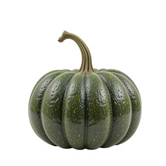Organic autumn pumpkin and green gourd isolated on a white background for a fresh harvest