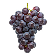 Fototapeta premium A bunch of dark purple grapes with a green stem isolated on a black background in a studio shot