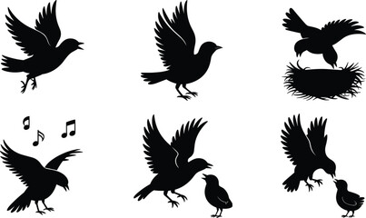 Silhouette bird illustrations flying, singing, feeding chicks in nest, black vector animal design for nature, wildlife, freedom, and decorative artwork