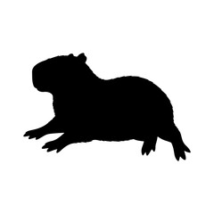A silhouette of a realistic capybara running or trotting in side view.
