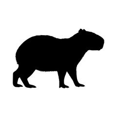 A silhouette of a realistic capybara walking in side view