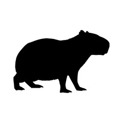 A silhouette of a realistic capybara standing on its four legs in side view