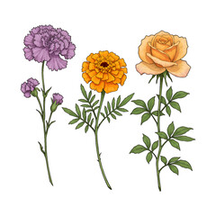Obraz premium Garden Grace vector style