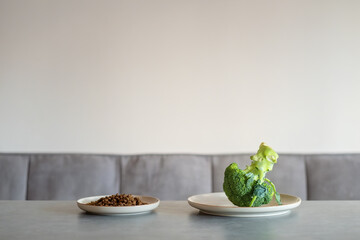 Two plates on a table with different food options fresh green broccoli and dry dog kibble. Minimalist conceptual photo symbolizing diet, nutrition and lifestyle choices