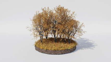 3d island round shape with grass and orange leafs on trees, autumn season. The concept of seasons. Isolated on white background.