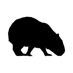 A silhouette of a realistic capybara foraging or eating in side view