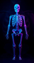Abstract digital art of a human skeleton in a low-poly style. Geometric 3D render with a futuristic color gradient.