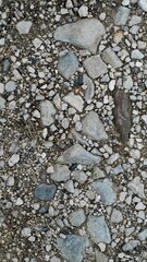 natural ground with alot of stones and nature