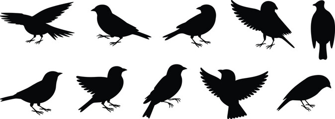 Silhouette, bird, flying, perching, standing, wings, beak, tail, feet, posture, motion, flight, species, profile, angle, nature, wildlife, avian, illustration, shape