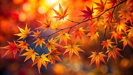 Vibrant japanese maple leaves in autumn, showcasing a spectrum of warm colors like red, orange, and yellow, with a soft bokeh background