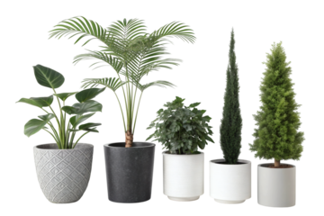 Collection of various potted houseplants isolated on transparent background for interior decoration