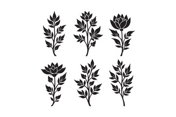 Fototapeta premium Six black silhouette botanical illustrations of flowers and leaves