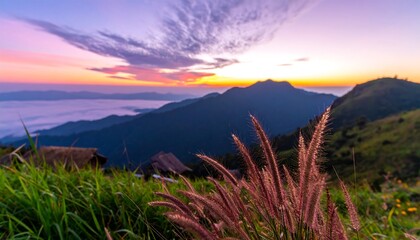 Vibrant sunrise over a misty valley, viewed from a mountaintop with tall grasses in the foreground