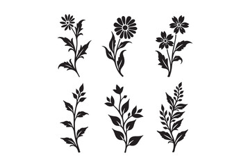 Six silhouette botanical illustrations of flowers and leaves