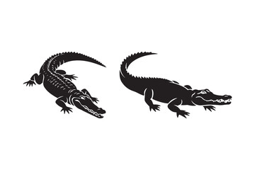 Two black alligators silhouetted against white