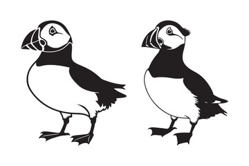 Two adorable puffins standing side by side