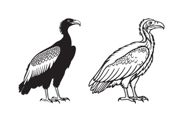 Two vultures one silhouetted one detailed line drawing