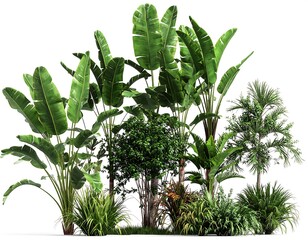Lush tropical plants create a vibrant, dense grouping against a plain background.