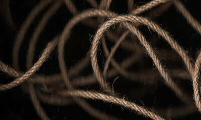 close up of a tree trunk,close up of a rope