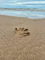 Handprint pressed into wet sand on the beach, with waves in the background along the shoreline.