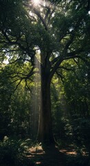 Obraz premium Sunlight filtering through majestic forest tree with dense green foliage