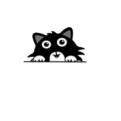 A cute cat