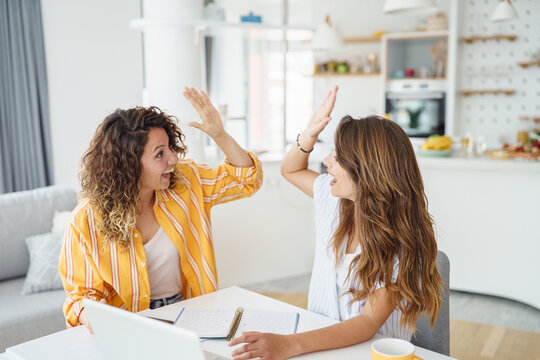 Two Women Working Together at Home in a Bright Stylish Apartment with Laptops and Notebooks