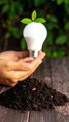 Hands holding an LED lightbulb, plant sprout, soil