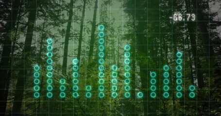 Fototapeta premium Showing bar chart grid overlaying misty pine forest, with glowing turquoise nodes and readout 66