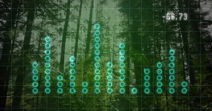 Fototapeta Showing bar chart grid overlaying misty pine forest, with glowing turquoise nodes and readout 66