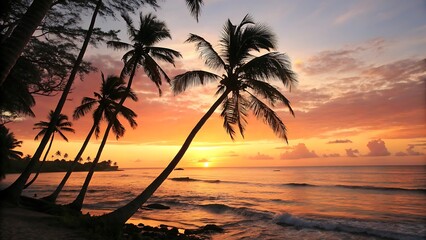 Tropical Sunset Palm Silhouette