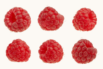 Raspberry berries isolated on a white background