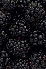 Macro texture of blackberry berries