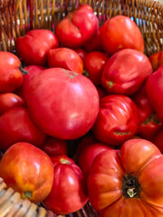 A basket of juicy, ripe tomatoes. Harvesting a new crop. Close-up of vegetables. Autumn. Cooking. Ingredient. Home garden. Red tomatoes.