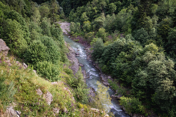 View on a valleyn of River Buzau near Siriu town in Romania