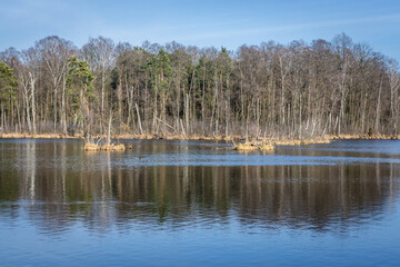 Torfy Lake reserve located near Karczew town in Masovian Landscape Park, Poland