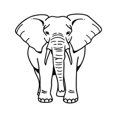 Fototapeta premium Black and white drawing of an elephant from the front