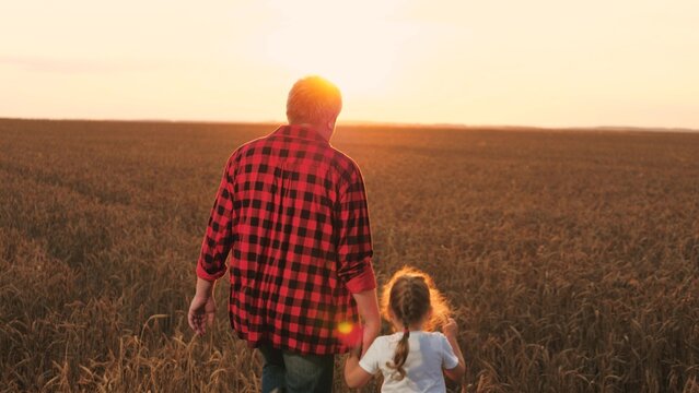 Father farmer with daughter walking at sunset dry wheat field back view slowmo. Happy family male parent and girl kid child holding hands going at sunrise agriculture harvest countryside meadow - Powered by Adobe