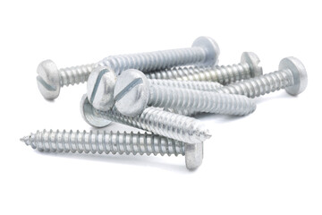 Wood screw or dowel on a white background