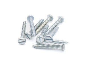 Wood screw or dowel on a white background