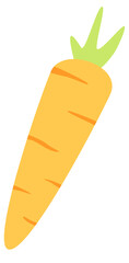 Vibrant Orange Carrot Illustration A Fresh and Healthy Vegetable