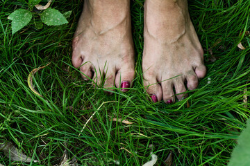 Bare Feet With Pink Toenails Pedicure Relaxing On Summer Lawn Copyspace